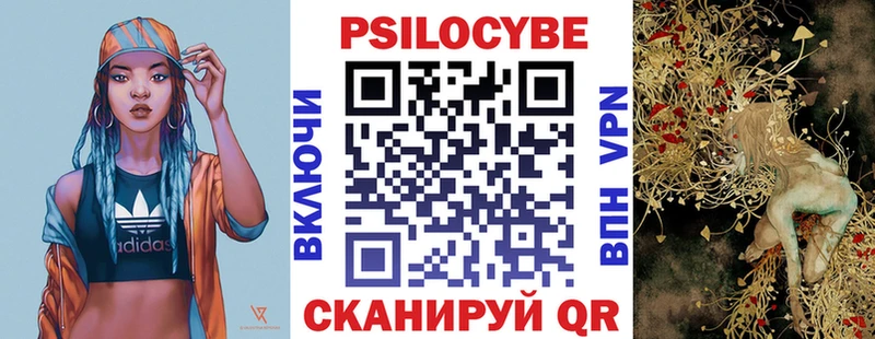 Галлюциногенные грибы Psilocybe  Артём 